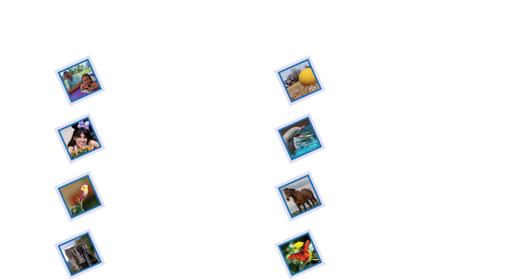albums
